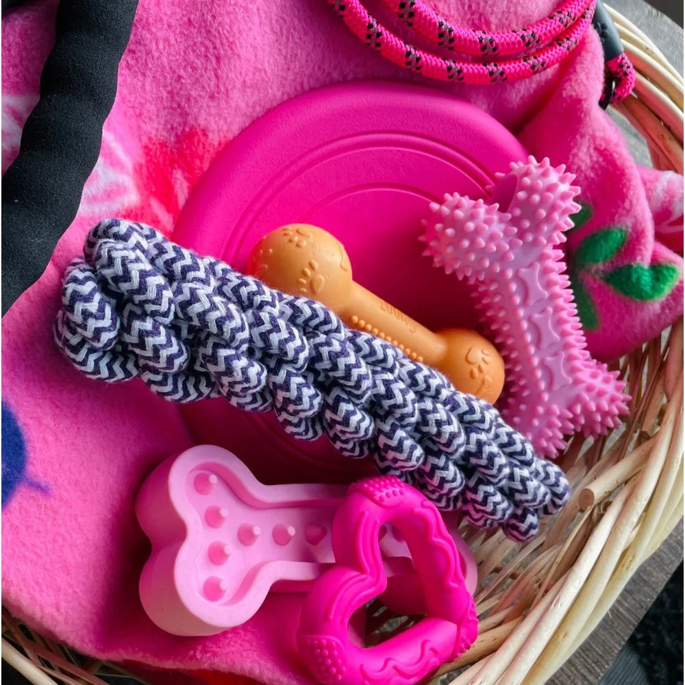 Brand new 🐾🦴 Colorful Puppy & Small & Medium Sized Dog Chew Toys 🐩🐕‍🦺  4 Pack 💓